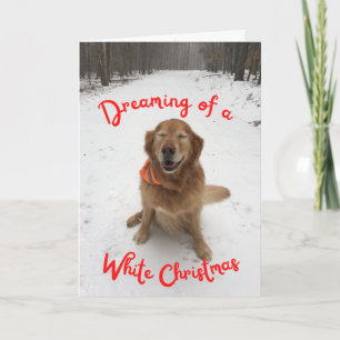 Hond in sneeuw Dreaming van witte kerst Kaart