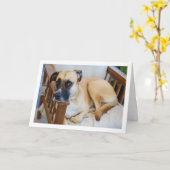 Hond in stoel Portret Kaart (Gele Bloem)