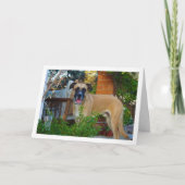 Hond in tuinportret kaart (Voorkant)