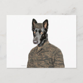 Hond in uniform briefkaart
