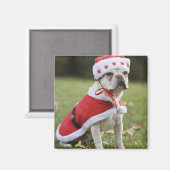 Hond in vakantiekuin magneet (Voorkant / Achterkant)