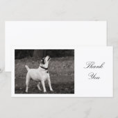 Hond in vervoering - Dank je Bedankkaart (Voorkant / Achterkant)