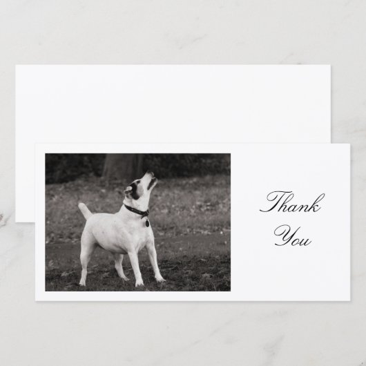 Hond in vervoering - Dank je Bedankkaart (Voorkant / Achterkant)