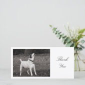 Hond in vervoering - Dank je Bedankkaart (Staand voorkant)