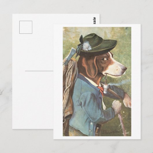 hond in wandelkleding Briefkaart (Voorkant / Achterkant)