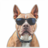 Hond in zonnebril op maat gesneden vinyl Sticker (Voorkant)