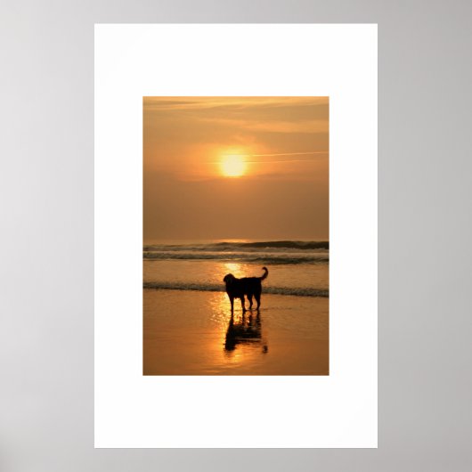 Hond in zonsopgang poster (Voorkant)