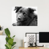Hond in zwart-wit poster (Thuiskantoor)