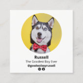 Hond Influencer aangepaste foto, huisdier Vierkante Visitekaartje (Voorkant)
