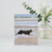 Hond jaagt een bal op het strand briefkaart (Staand voorkant)