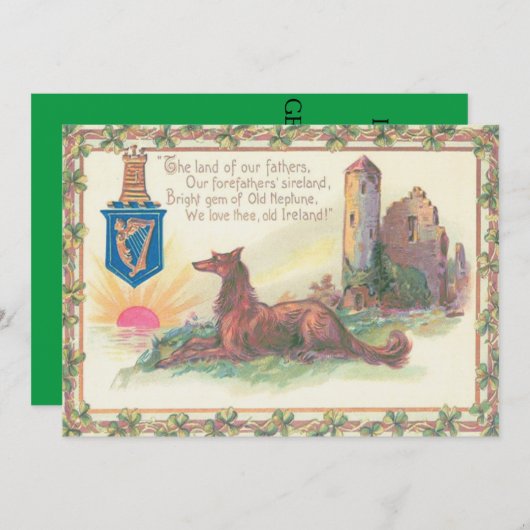 Hond Kasteel Harp van Erin Shamrocks Kaart (Voorkant / Achterkant)