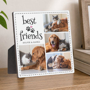 Hond Kat Beste Vrienden Pootafdrukken 4 Foto's Aan Fotoplaat