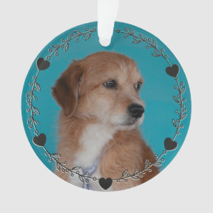 Hond Kat Huisdier Foto Hartjes Aangepast Gepersona Ornament