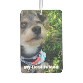 Hond Kat Huisdier Memorial Foto Paws Hart Custom Luchtverfrisser (Achterkant)