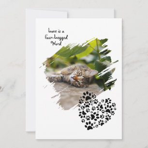 Hond Kat Huisdier Poot Aangepaste Foto Valentijnsd Feestdagenkaart