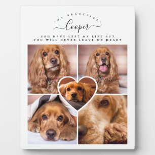 Hond Kat Huisdier Verlies Gift - Foto Collage Grid Fotoplaat