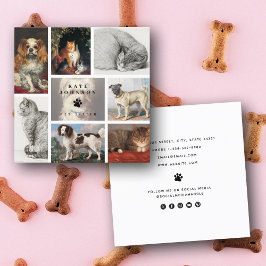 Hond Kat Huisdieren 8 Foto Huisdier Groomer Sitter Vierkante Visitekaartje