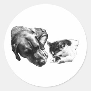 Hond & Kat Rust Samen Monochrome Sticker