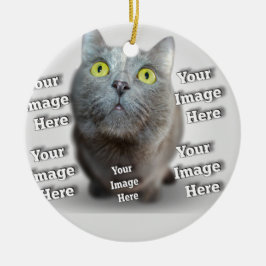 Hond Kat Vogel Fabuleus Geweldige Foto Keramisch Ornament