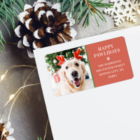 Hond Kerst Foto Fijne Pawlidays Adres
