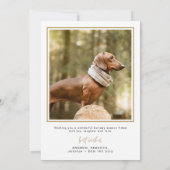Hond Kerst Kaart Foto Vakantie Kaart Modern Gold (Achterkant)