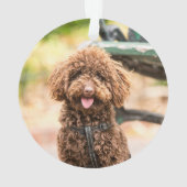 Hond Kerst Ornament Foto Huisdier Furry & Bright (achterkant)