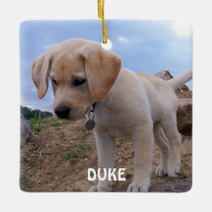 Hond Kerst Ornamente Foto Vierkant Keramisch Ornament