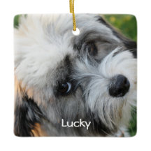 Hond Kerst Ornamenten Vierkant Keramiek Foto