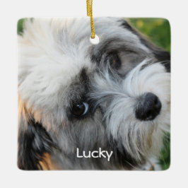 Hond Kerst Ornamenten Vierkant Keramiek Foto