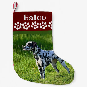 Hond Kerst Sock Foto Kleine Kerstsok