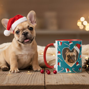 Hond Kerstfoto Santa Hat Blauwgroen Koffie Mok