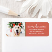 Hond Kerstmis Foto Gelukkige Pawholidays Adres Etiket (Insitu)