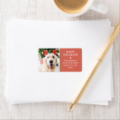Hond Kerstmis Foto Gelukkige Pawholidays Adres Etiket (Insitu)