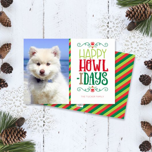 Hond Kerstmis Foto Gelukkige Vakantie Feestdagenkaart