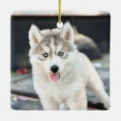 Hond Kerstmis Foto Keramisch Ornament (Achterkant)