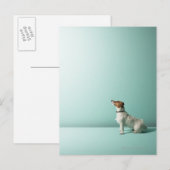 hond kijkt de ruimte in briefkaart (Voorkant / Achterkant)