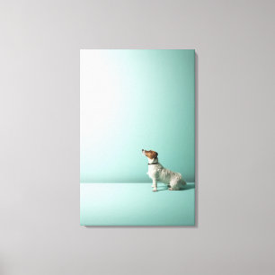 hond kijkt de ruimte in canvas afdruk