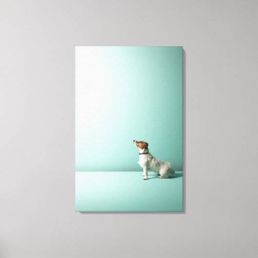 hond kijkt de ruimte in canvas afdruk (Voorkant)