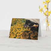 Hond kijkt naar bloemen zwarte ogen Susan Daisy Kaart (Gele Bloem)