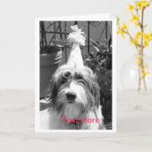 Hond Klaar aan Partij Kaart (Gele Bloem)