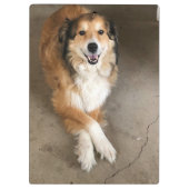 Hond Klembord (Achterkant)