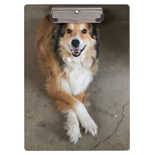 Hond Klembord (Voorkant)