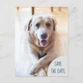 Hond kondigt Save the Date trouwfoto aan Aankondigingskaart (Voorkant)