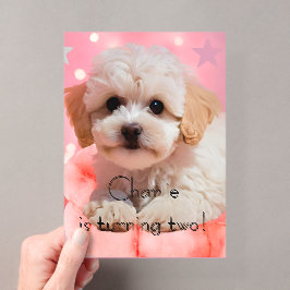 Hond Laten we feest verjaardag Acryl Uitnodigingen