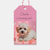 Hond Laten we feest verjaardag  Cadeaulabel (Voorkant)