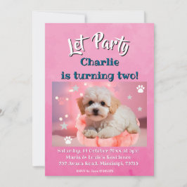 Hond Laten we feest verjaardag  Feestdagenkaart
