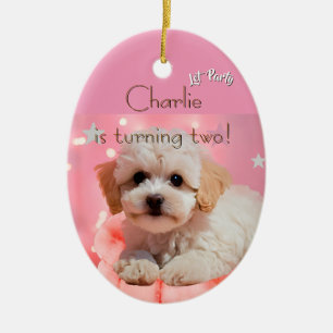 Hond Laten we feest verjaardag Keramisch Ornament