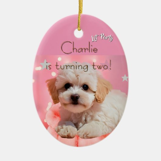 Hond Laten we feest verjaardag Keramisch Ornament (Voorkant)