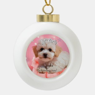 Hond Laten we feest verjaardag Keramische Bal Ornament
