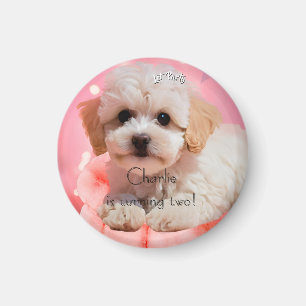 Hond Laten we feest verjaardag Magneet